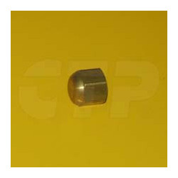 2L1224 - Cap-brass