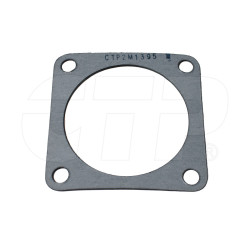 2M1395 - Gasket-ctp (p)