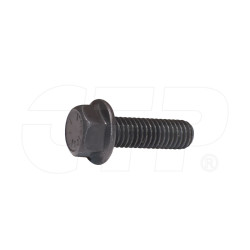 2P3202 - Bolt-washer Head