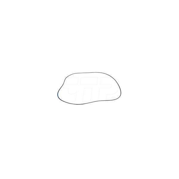 2P3628 - Seal O Ring