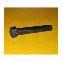 Bolt 2P9670
