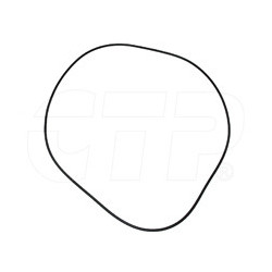 Seal O Ring 2R0098
