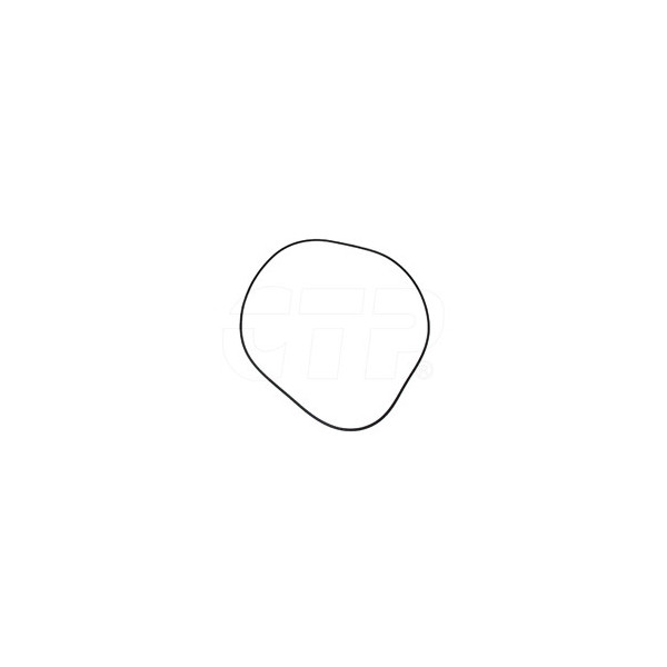 Seal O Ring 2R0098