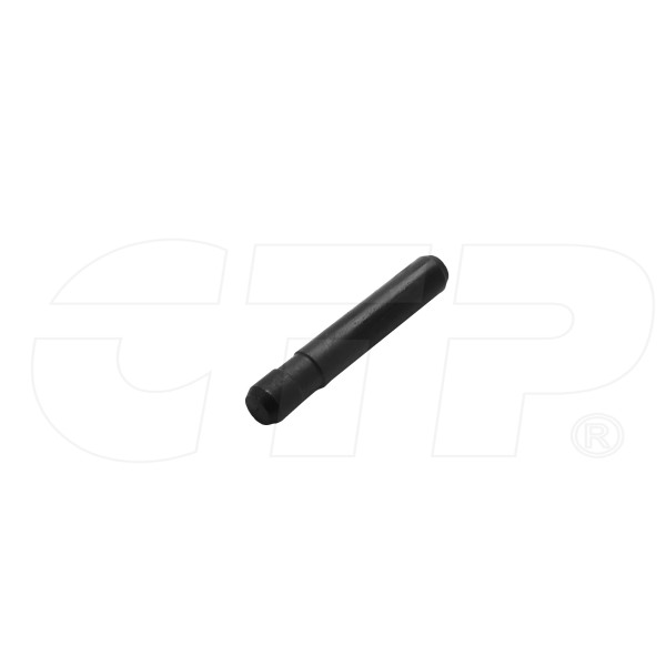 2011238 - Pin-get