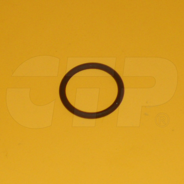 Seal O Ring 2069296