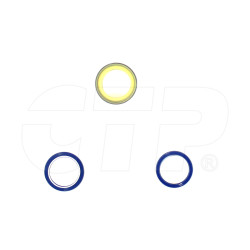 CTP8175 - Cylinder Seal Kit