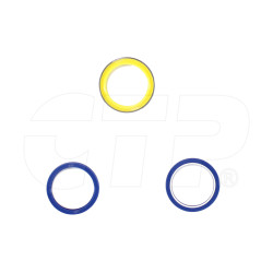 CTP8250 - Cylinder Seal Kit