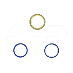 CTP8350 - Cylinder Seal Kit