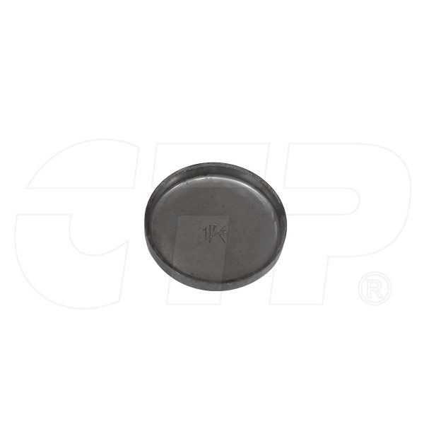 0T0199 - Plug