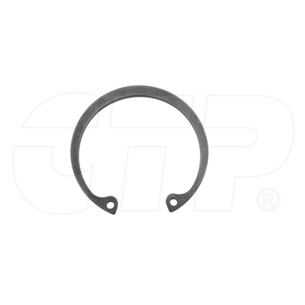 0092069 - Snap Ring
