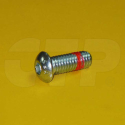 0352017 - Screw