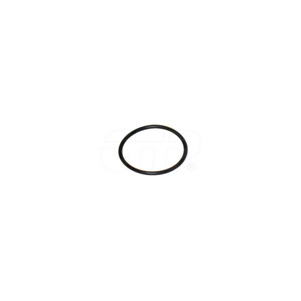 038137 - Seal O Ring