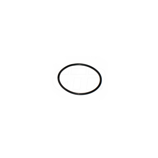 058593 - Seal O Ring