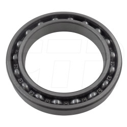 Bearing 06000-06917
