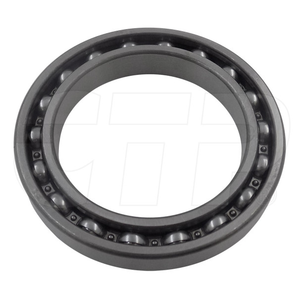 Bearing 06000-06917