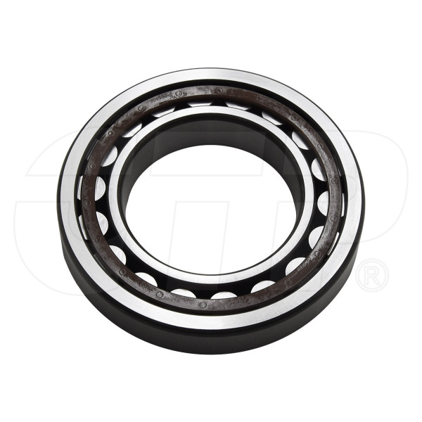 06032-00215 - Cylindrical Roller Bearing