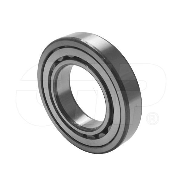 Bearing-ball 06042-00212