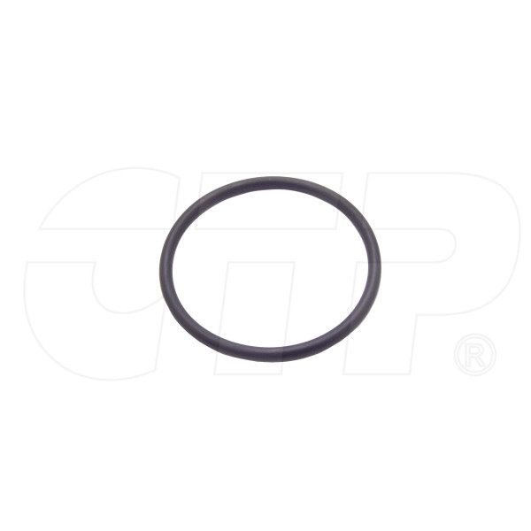 Seal O Ring 07000-13055