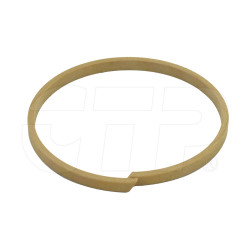 Ring Wear 0860255