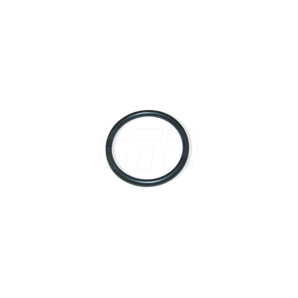 Seal O Ring 0931342