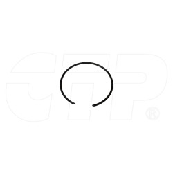 0940747 - Ring,snap