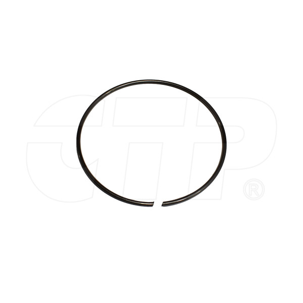 0941399 - Ring,snap