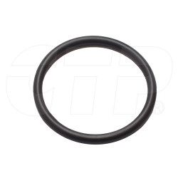 0951549 - Seal O Ring