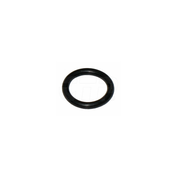 Seal O Ring 0951582