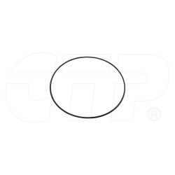 0951738 - Seal O Ring