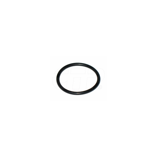 Seal O Ring 0963044
