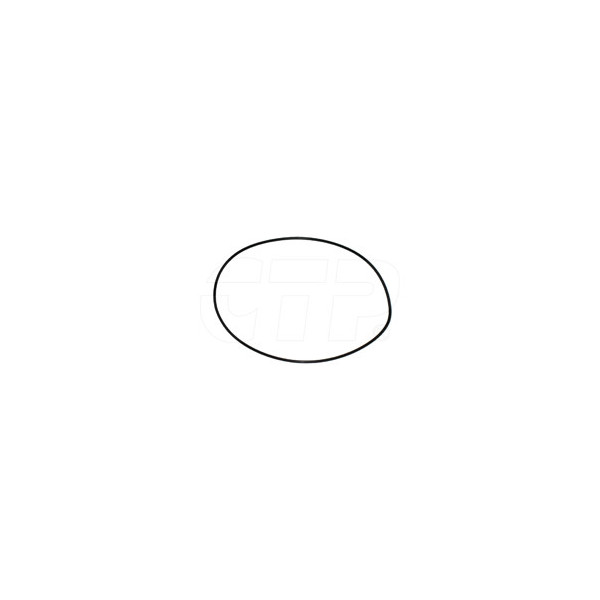0969529 - Seal O Ring