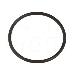 1A4590 - Ring-snap