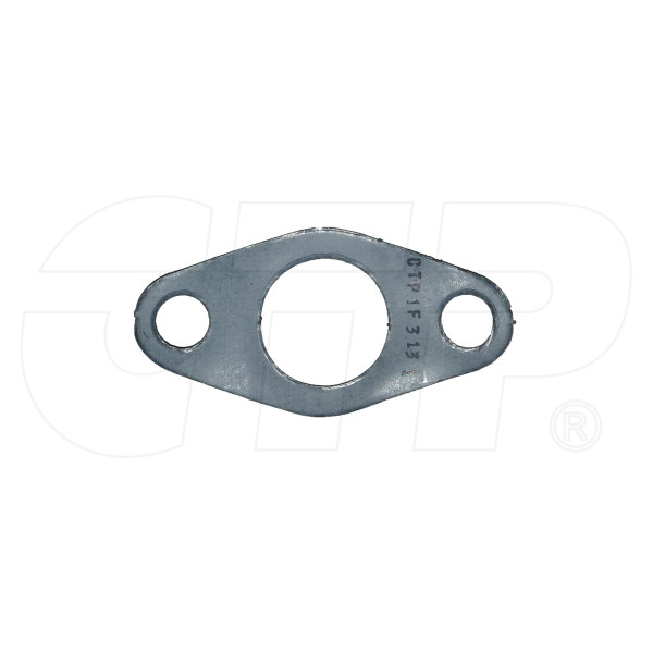 1F3131 - Gasket-ctp