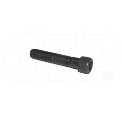 1L8793 - Screw Hex Socket Head