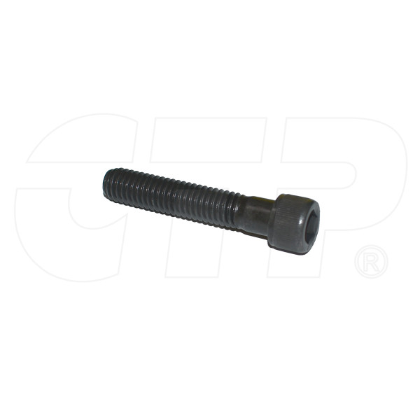 1L8793 - Screw Hex Socket Head
