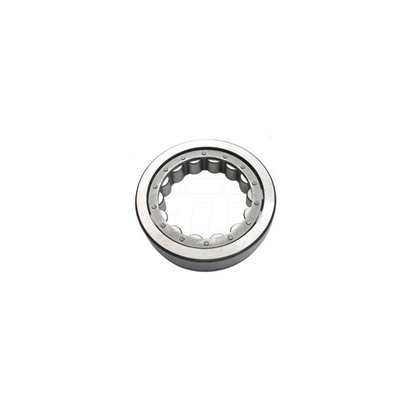 Bearing-race Outer 1M8776