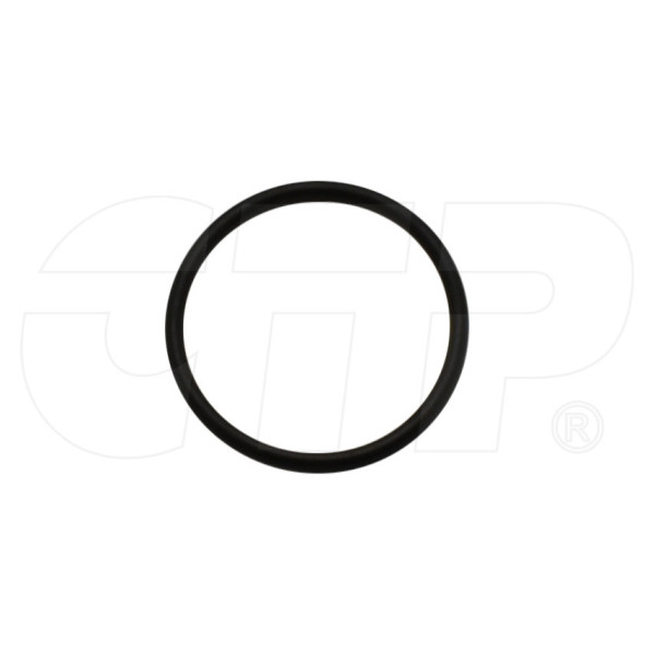 1N6002 - Seal O Ring