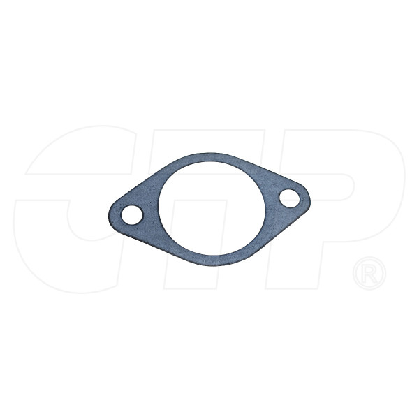 1N9900 - Gasket-ctp [fc]
