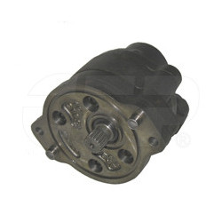 Pump Gp-gear 1P2187