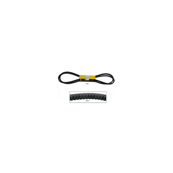 Belt Set(2) 1P2423
