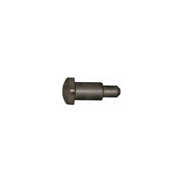 Plunger 1S2121