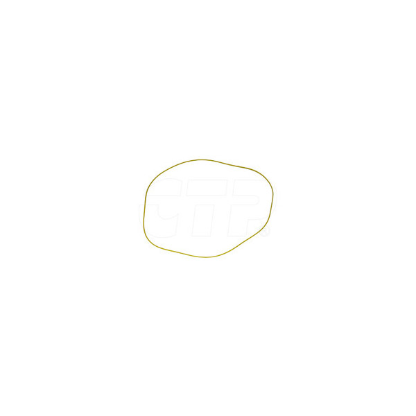 Seal O Ring 1S7390