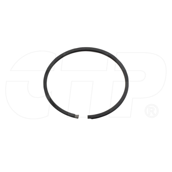 1T0097 - Ring Seal