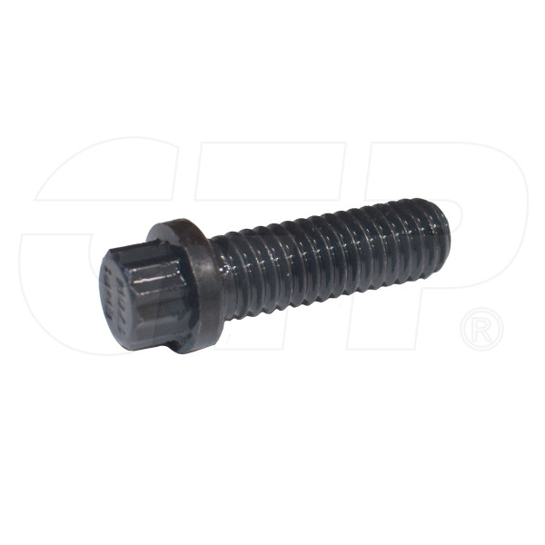 1T0414 - Bolt-12 Point Head