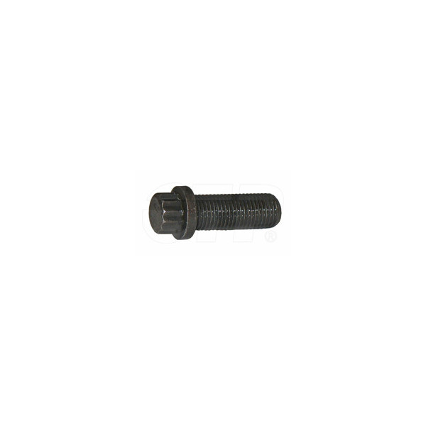 1T0417 - Bolt- 12 Pt Hd
