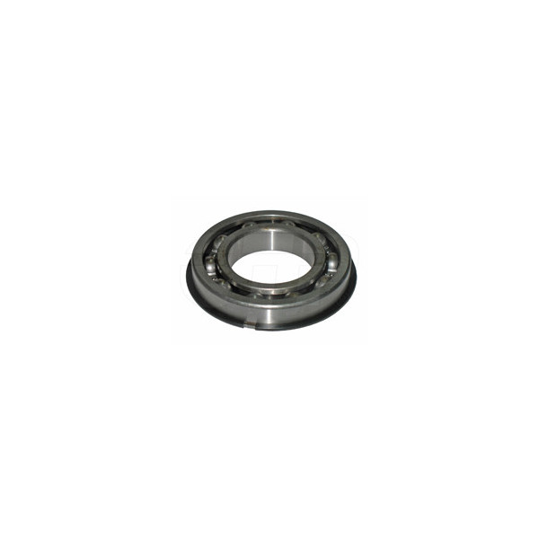 1T0441 - Bearing-ball W/snap Ring