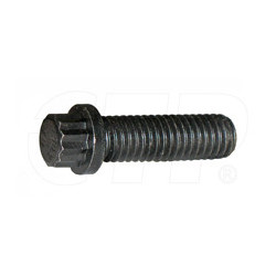 Bolt-12 Point Head 1T0720