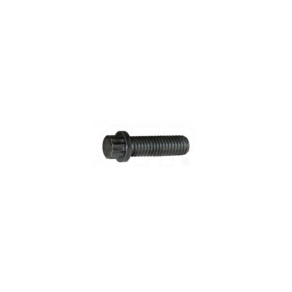 Bolt-12 Point Head 1T0720