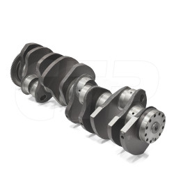 Crankshaft W/gear 1W6209