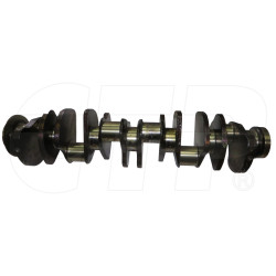 Crankshaft A W/gear 1W6213
